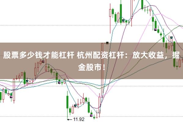股票多少钱才能杠杆 杭州配资杠杆：放大收益，掘金股市！