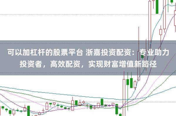 可以加杠杆的股票平台 浙嘉投资配资：专业助力投资者，高效配资，实现财富增值新路径