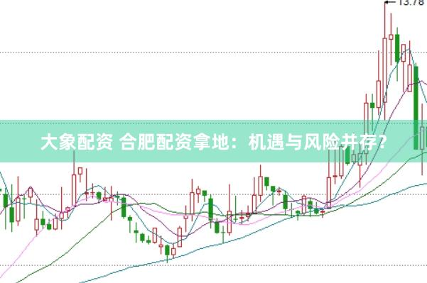 大象配资 合肥配资拿地：机遇与风险并存？