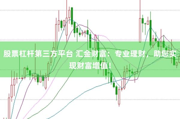 股票杠杆第三方平台 汇金财富：专业理财，助您实现财富增值！