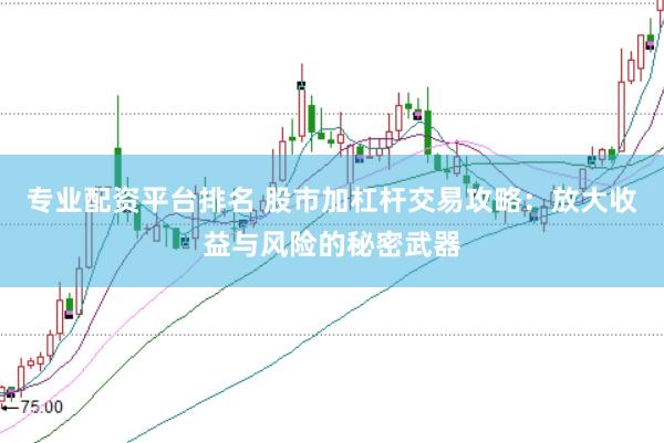专业配资平台排名 股市加杠杆交易攻略：放大收益与风险的秘密武器