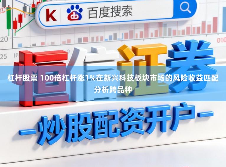 杠杆股票 100倍杠杆涨1%在新兴科技板块市场的风险收益匹配分析跨品种