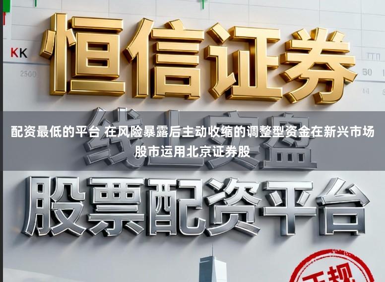 配资最低的平台 在风险暴露后主动收缩的调整型资金在新兴市场股市运用北京证券股