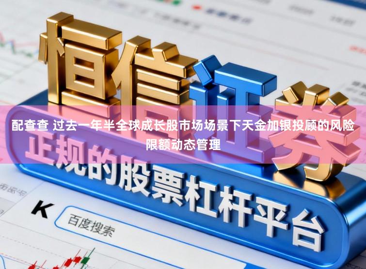配查查 过去一年半全球成长股市场场景下天金加银投顾的风险限额动态管理