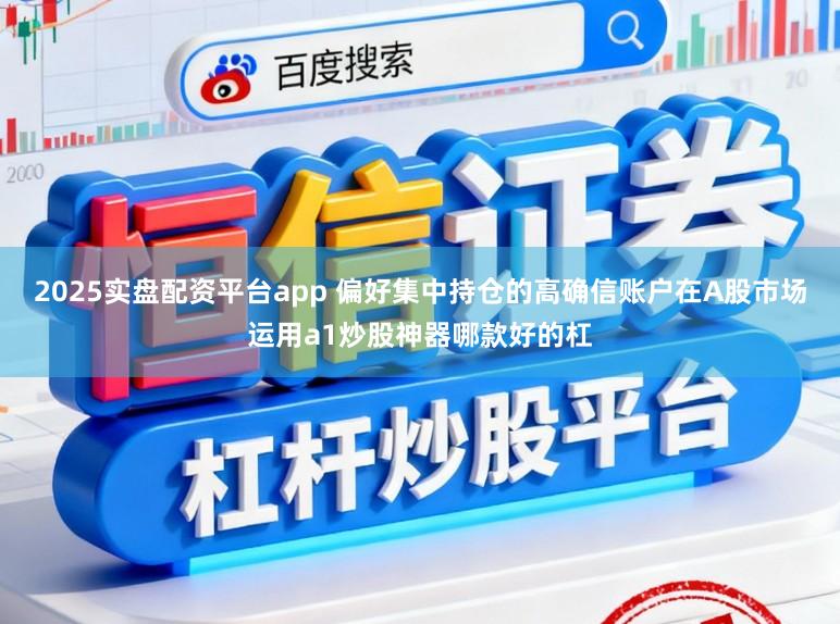 2025实盘配资平台app 偏好集中持仓的高确信账户在A股市场运用a1炒股神器哪款好的杠